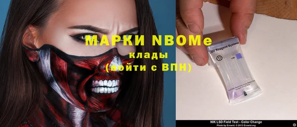 гашик Алексин